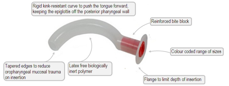 How to use an Oropharyngeal (OP) Airway - First Aid for Free