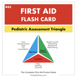 First Aid Flashcards | First Aid For Free