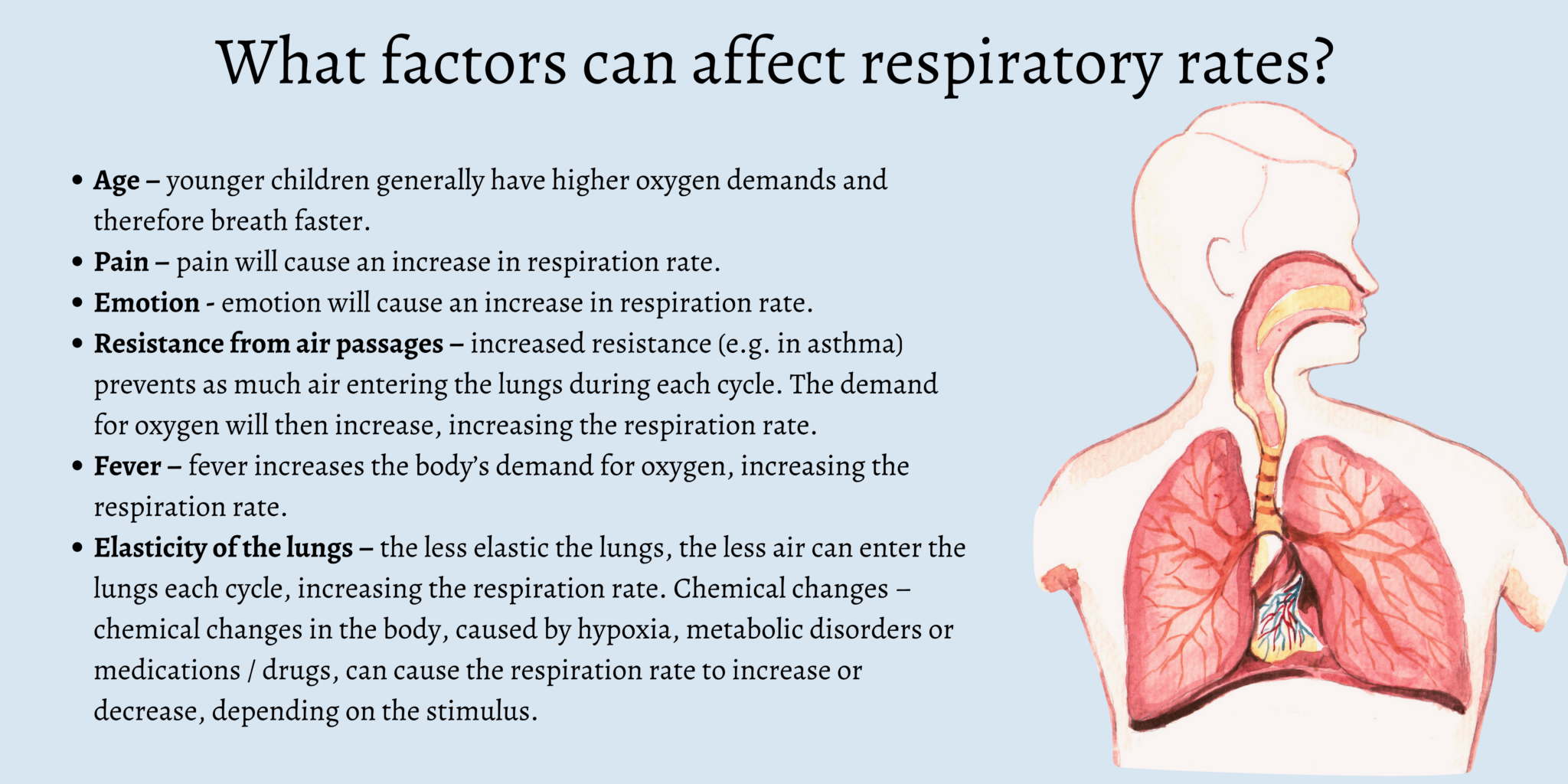 What Factors Can Affect Pulse And Respiratory Rates?